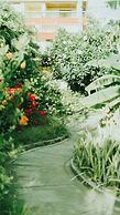 Beach Garden Hotel