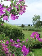 Skiathos Holidays