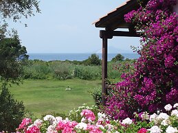 Skiathos Holidays