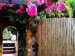 African Violet Guest Suites