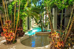 Royal Palms by Bric