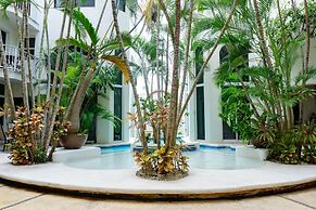 Royal Palms by Bric