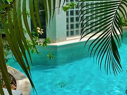 Royal Palms by Bric