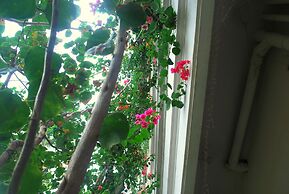Elim Homestay