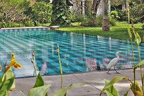 Blue Turtle Hotel
