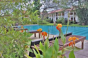 Blue Turtle Hotel