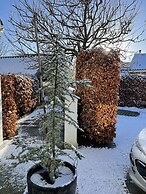 Helts B&B / Helts Guesthouse