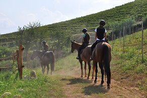 Agrisuite Le Querce del Vareglio