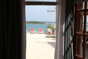 Coral Reef Beach Aruba