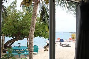 Coral Reef Beach Aruba