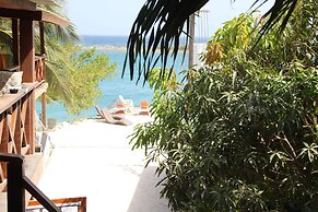 Coral Reef Beach Aruba