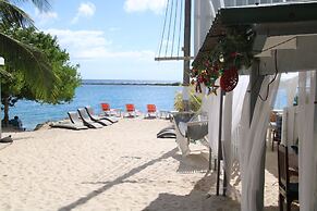 Coral Reef Beach Aruba