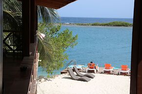 Coral Reef Beach Aruba
