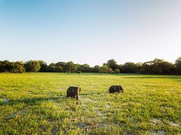 Yala Safari Camping