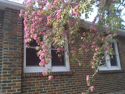 Susan's Sanctuary Bed & Breakfast