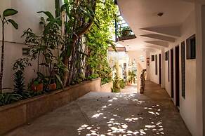 Hotel Cacts