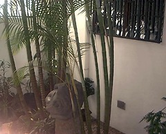 Hotel Cacts