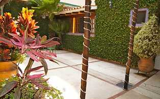 Suites Colibrí