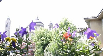 Fleur de Lis Belvedere