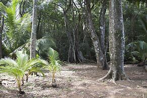 Camino del Sol