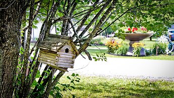 Auberge Papillon Lune