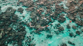 The Cliff Lipe