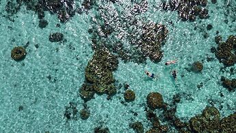 The Cliff Lipe