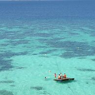 The Cliff Lipe