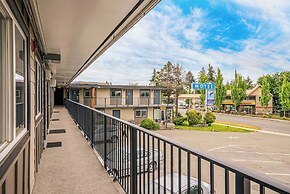 The Bluebird Motel