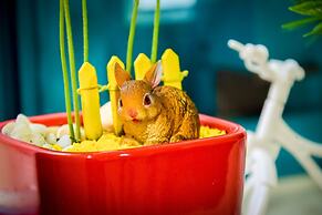 Rabbit house hotel