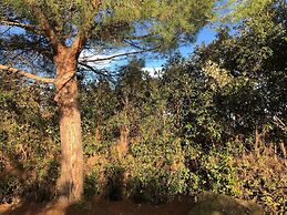 Rigone in Chianti