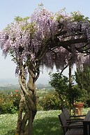 Rigone in Chianti