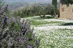 Rigone in Chianti