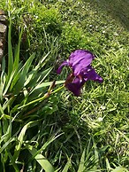 Rigone in Chianti