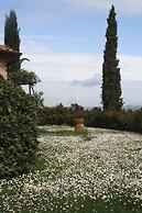 Rigone in Chianti