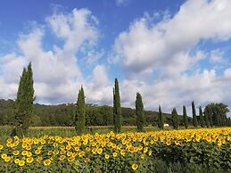 Rigone in Chianti