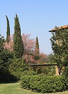 Rigone in Chianti