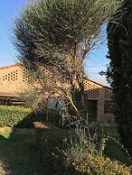 Rigone in Chianti