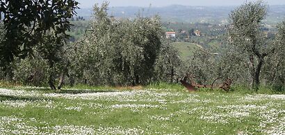 Rigone in Chianti