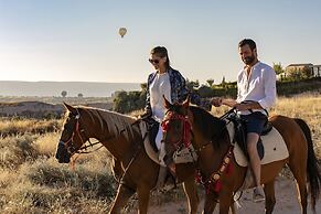 Ariana Sustainable Luxury Lodge - Special Class