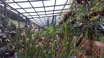 Las Cruces Biological Station