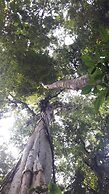 La Selva Biological Station