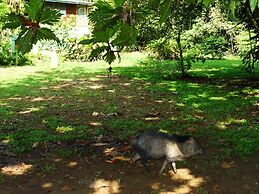 La Selva Biological Station