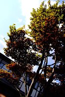 Onishiya Suishoen