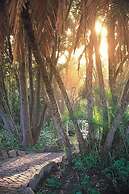 Yellowwood Lodge - Adults Only
