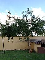 The Yellow House
