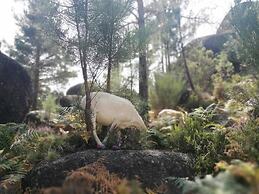 Casa do Eido - sustainable living & nature experiences