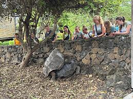 Galapagos Dreams