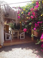 Villa Las Palmas