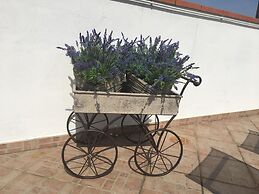 B&B La Terrazza